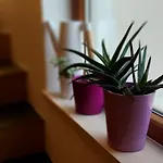 Just 4 Apartmán